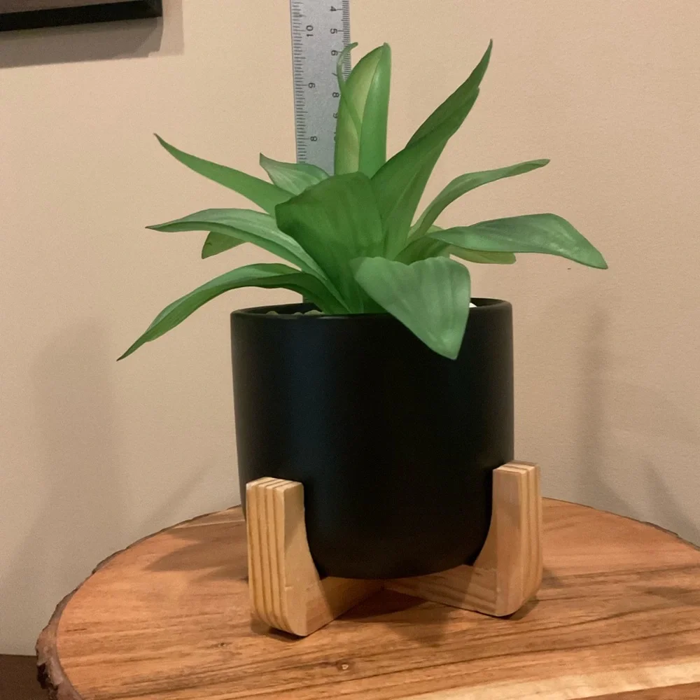 Faux Green Plant In Ceramic and Wood Pot 🪴